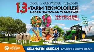 ISO 500’deki Yıldızlar